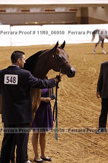 Proof 11r9_06959