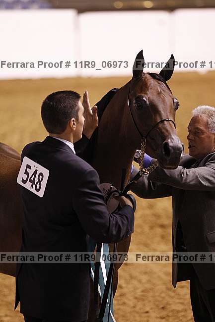 Proof 11r9_06973
