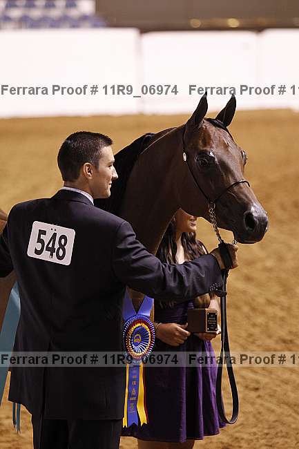 Proof 11r9_06974
