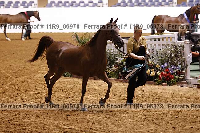 Proof 11r9_06978