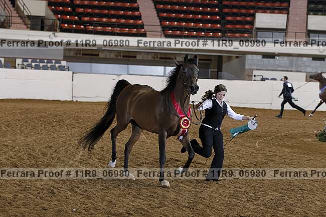 Proof 11r9_06980