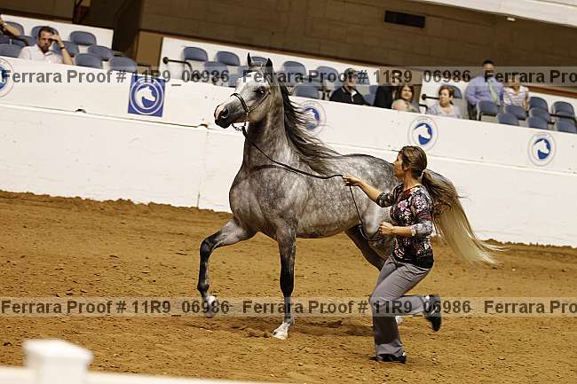 Proof 11r9_06986