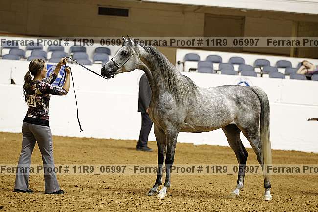 Proof 11r9_06997