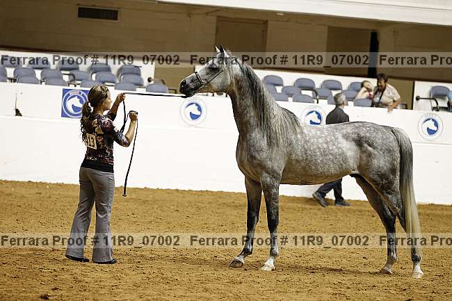 Proof 11r9_07002