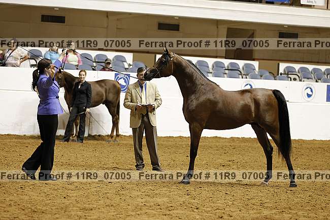 Proof 11r9_07005