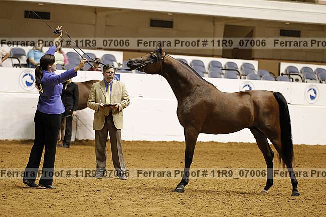 Proof 11r9_07006