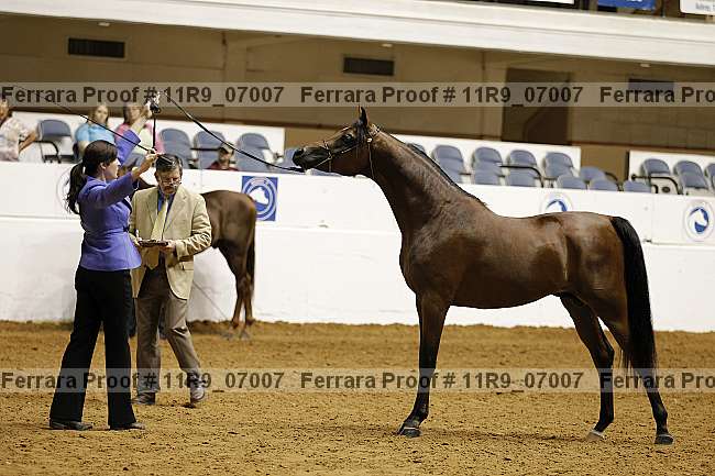 Proof 11r9_07007
