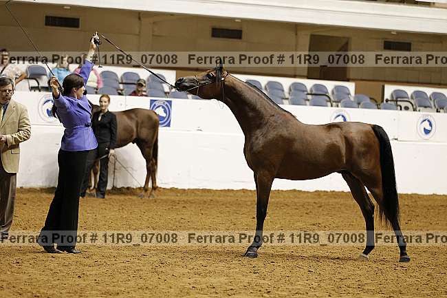 Proof 11r9_07008