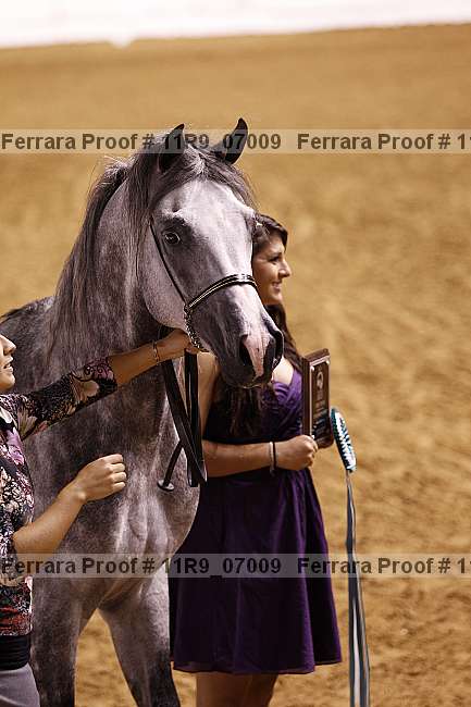 Proof 11r9_07009