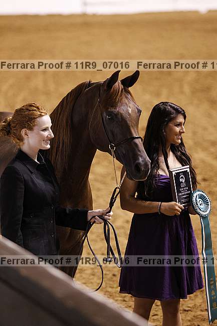Proof 11r9_07016