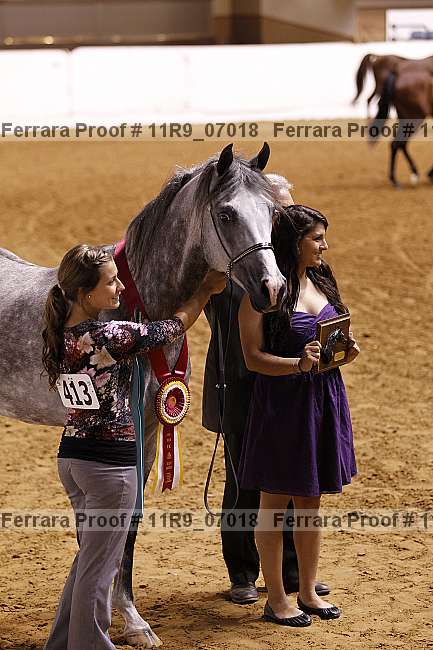 Proof 11r9_07018
