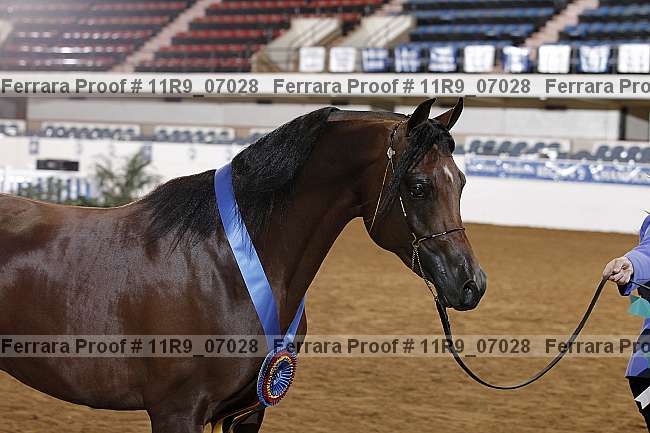Proof 11r9_07028