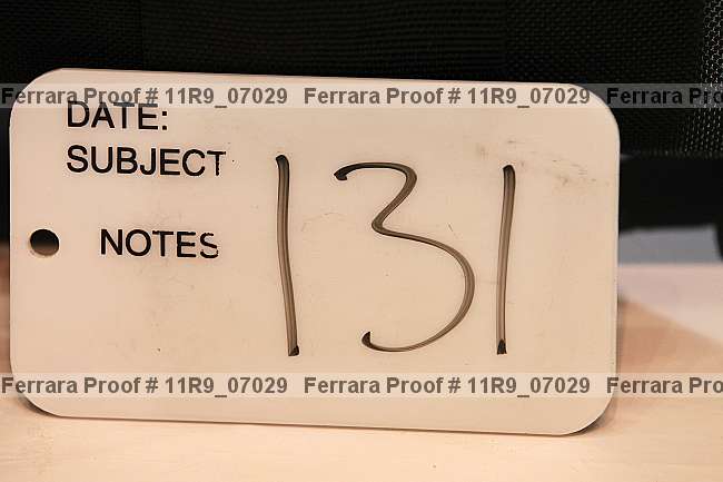 Proof 11r9_07029