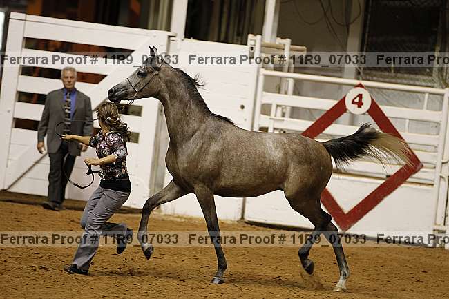 Proof 11r9_07033
