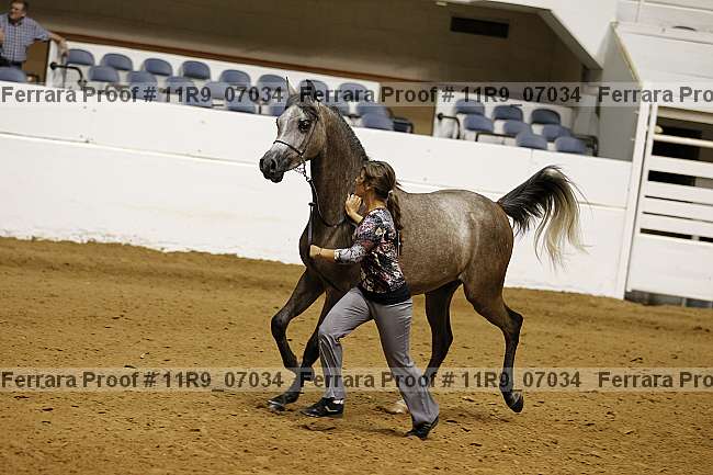 Proof 11r9_07034