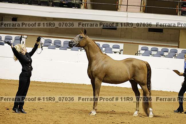 Proof 11r9_07036