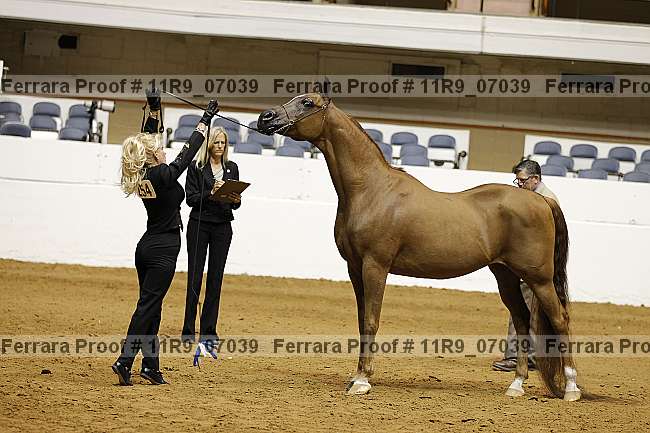 Proof 11r9_07039