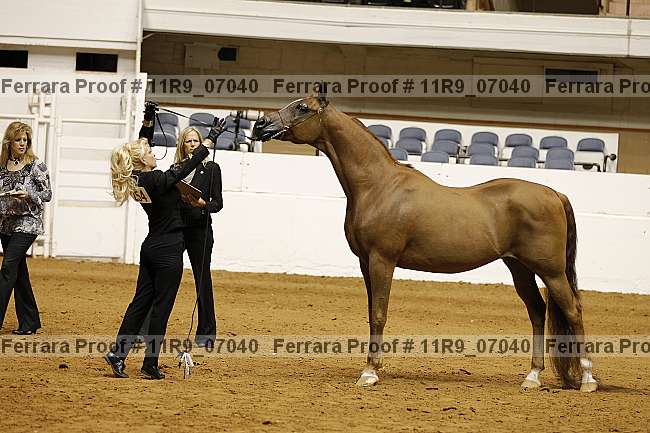 Proof 11r9_07040