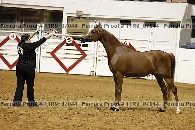 Proof 11r9_07044