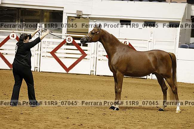 Proof 11r9_07045
