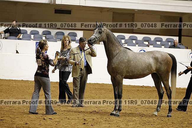 Proof 11r9_07048