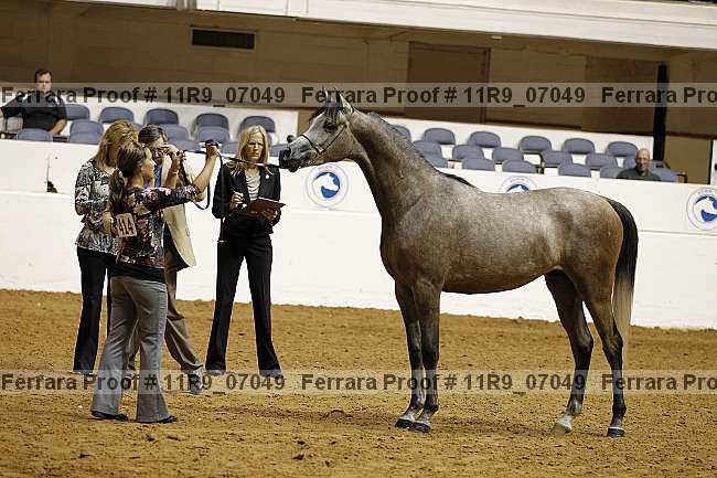 Proof 11r9_07049