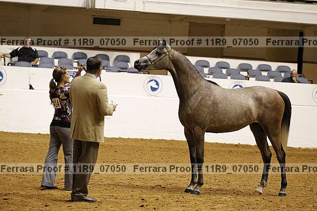 Proof 11r9_07050