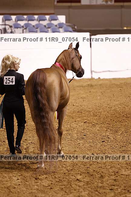 Proof 11r9_07054