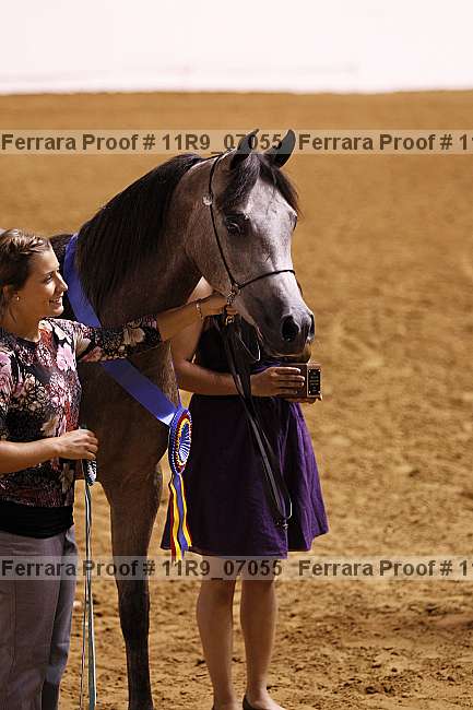 Proof 11r9_07055