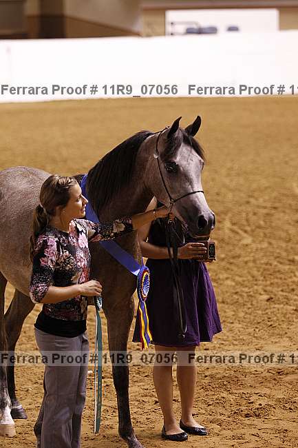 Proof 11r9_07056