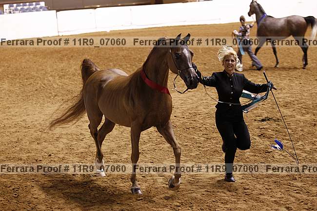 Proof 11r9_07060