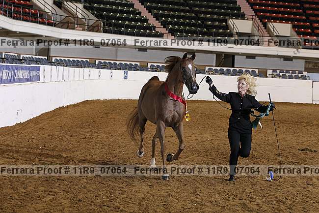 Proof 11r9_07064