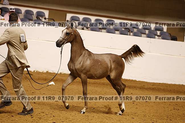 Proof 11r9_07070