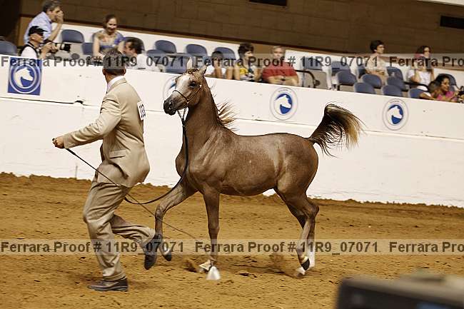 Proof 11r9_07071