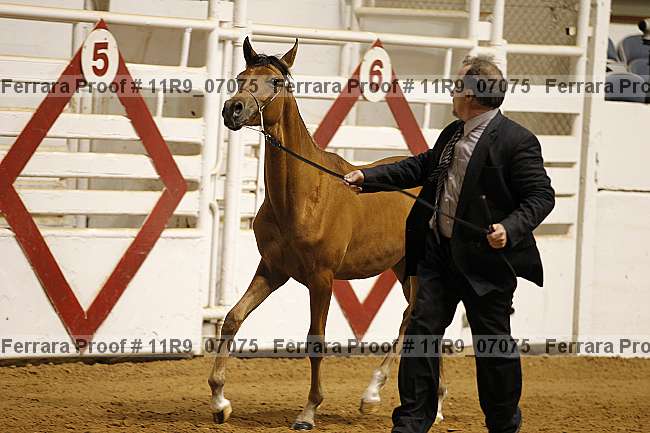 Proof 11r9_07075