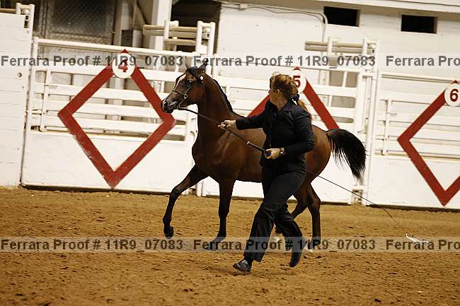 Proof 11r9_07083