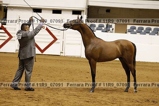 Proof 11r9_07091