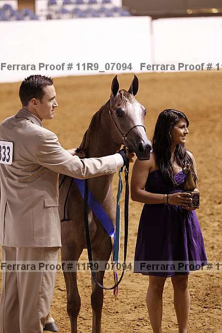 Proof 11r9_07094