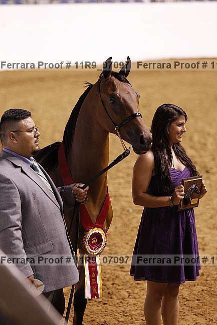Proof 11r9_07097