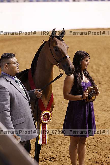 Proof 11r9_07098