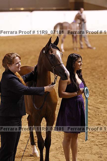 Proof 11r9_07101