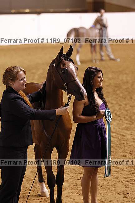 Proof 11r9_07102