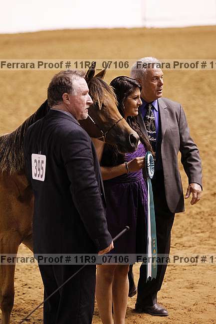 Proof 11r9_07106