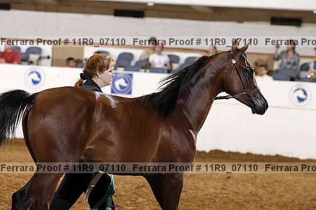 Proof 11r9_07110