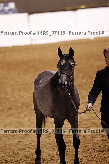 Proof 11r9_07116
