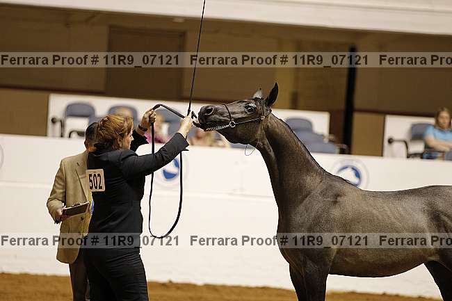 Proof 11r9_07121