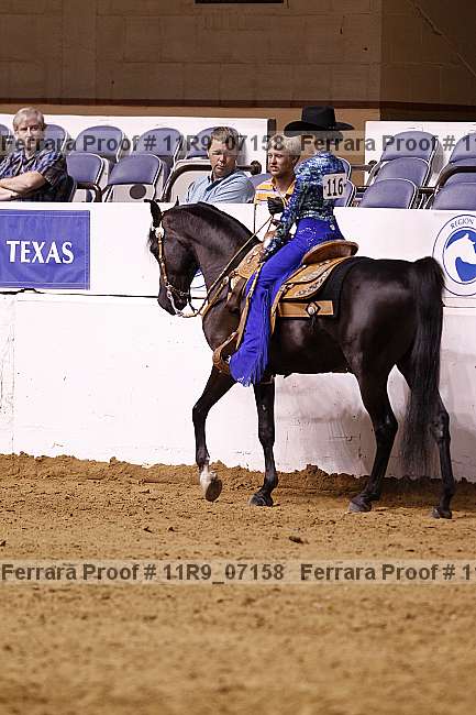 Proof 11r9_07158