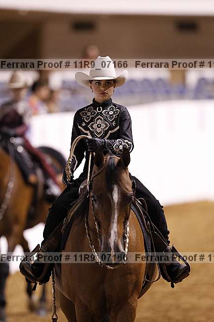 Proof 11r9_07166