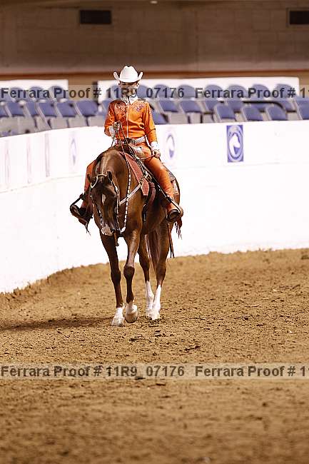 Proof 11r9_07176