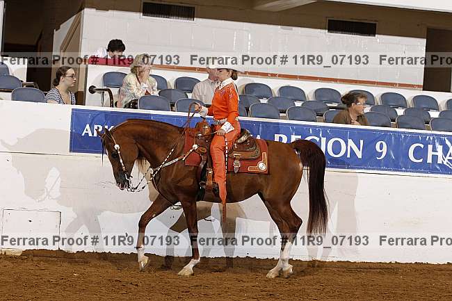 Proof 11r9_07193